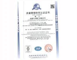 认证证书1